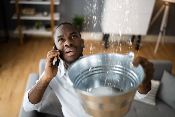 Best Water damage restoration specialists  in Heidelberg, TX