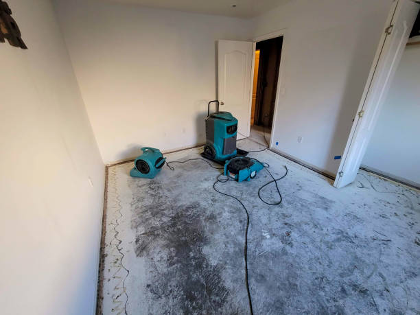 Professional Water damage restoration in Heidelberg, TX