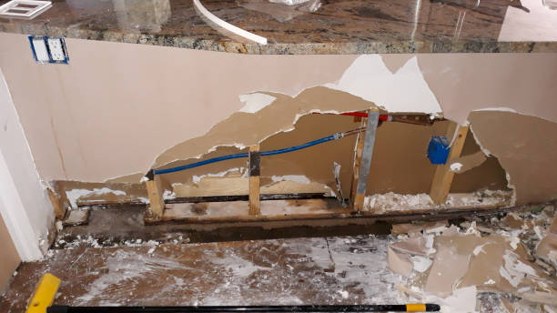 Best Basement water damage restoration  in Heidelberg, TX