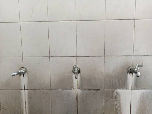 Trusted Heidelberg, TX Water damage restoration Experts